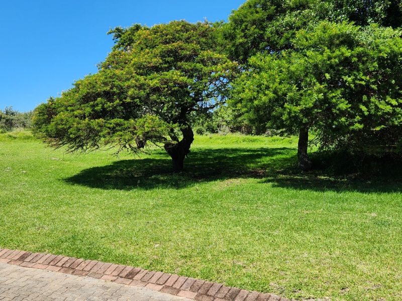Vacant Land Residential For Sale in Cintsa West - Photo 7