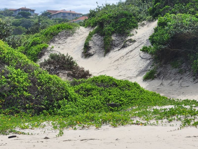 Vacant Land Residential For Sale in Cintsa West - Photo 10