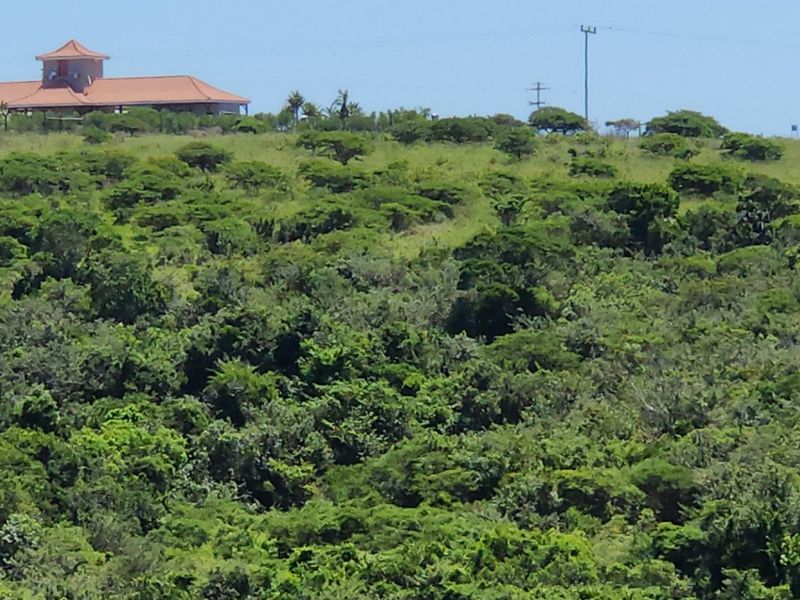 Vacant Land Residential For Sale in Cintsa West - Photo 9