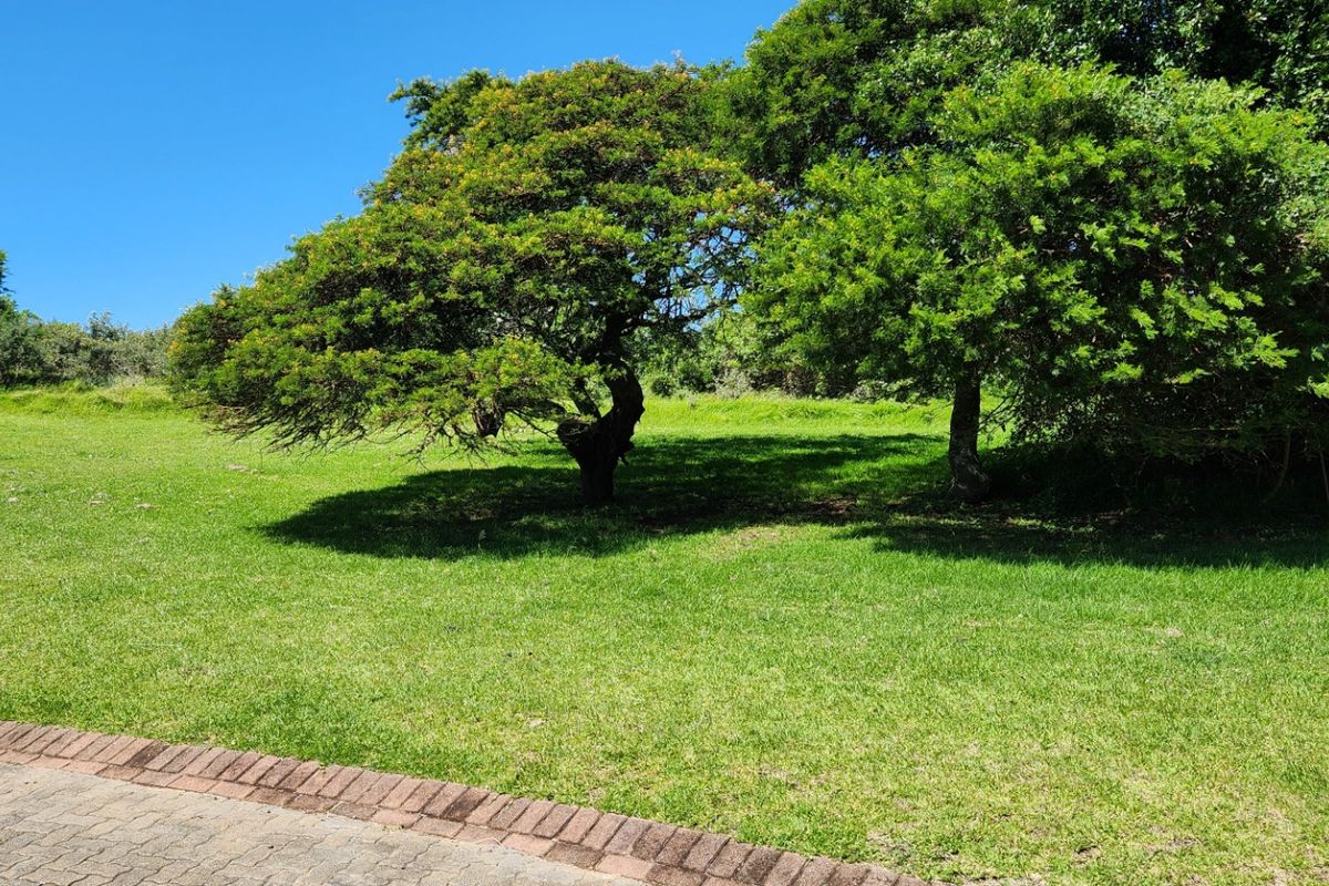 Vacant Land Residential For Sale in Cintsa West - Photo 5