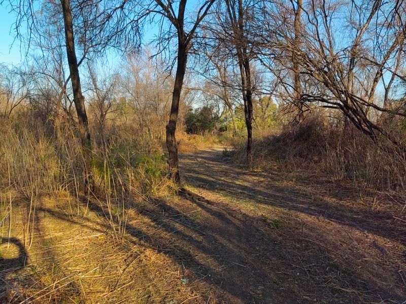 Vacant Land Residential For Sale in Orkney Central - Photo 2