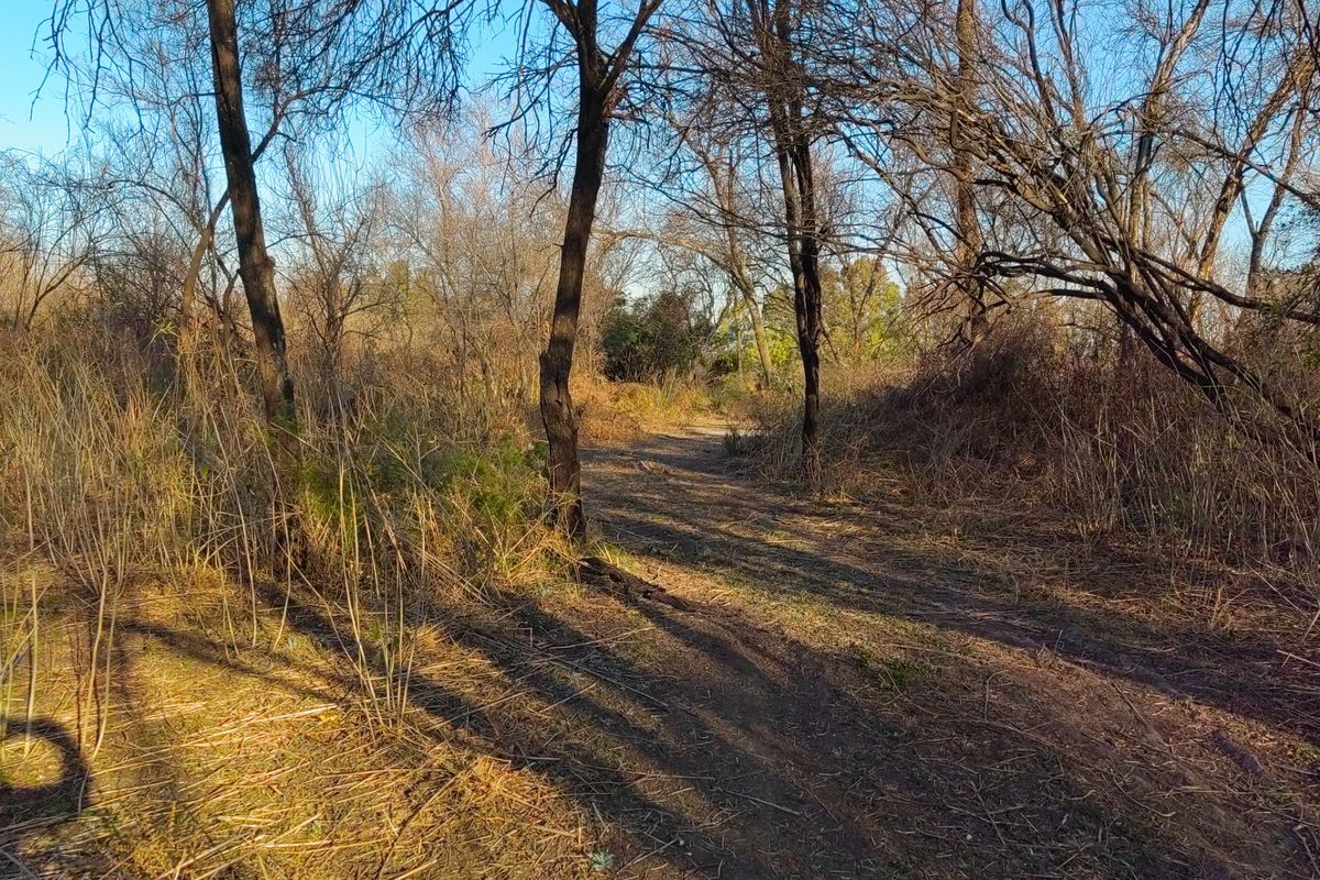 Vacant Land Residential For Sale in Orkney Central - Photo 2