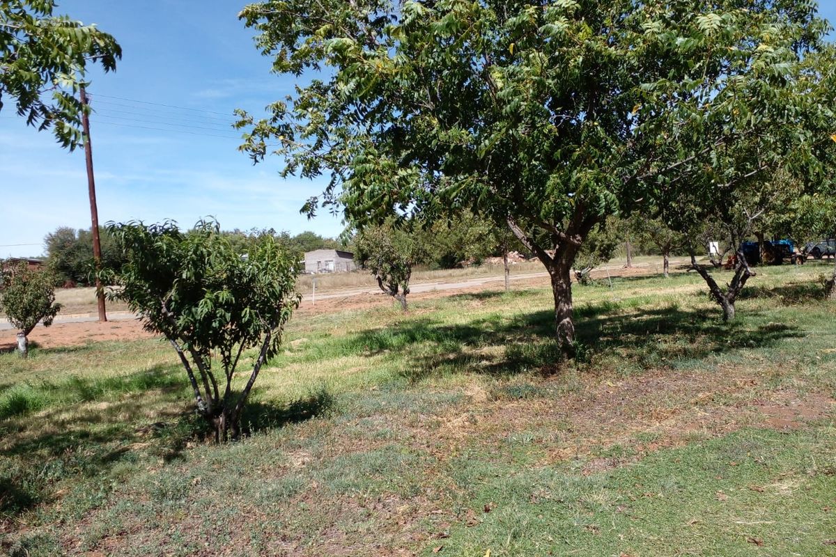 Vacant Land Residential For Sale in Orania - Photo 3