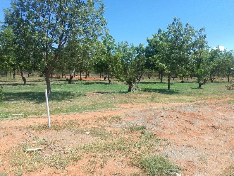 Vacant Land Residential For Sale in Orania - Photo 2