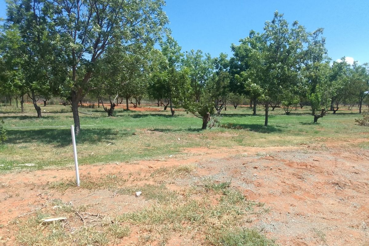 Vacant Land Residential For Sale in Orania - Photo 2
