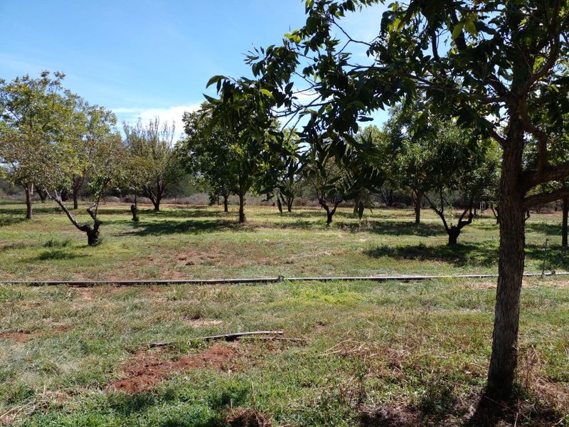 Vacant Land Residential For Sale in Orania - Photo 1