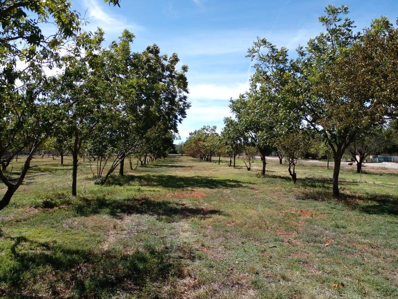 Vacant Land Residential For Sale in Orania - Photo 3