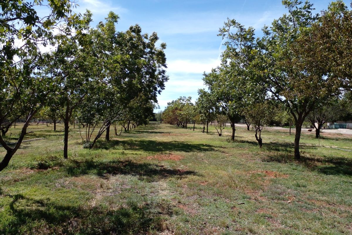 Vacant Land Residential For Sale in Orania - Photo 3