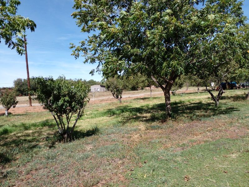 Vacant Land Residential For Sale in Orania - Photo 2