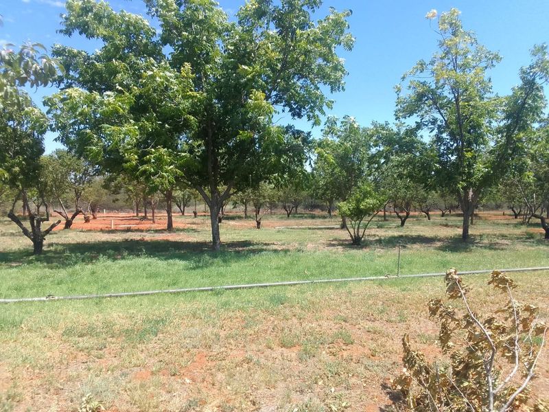 Vacant Land Residential For Sale in Orania - Photo 5