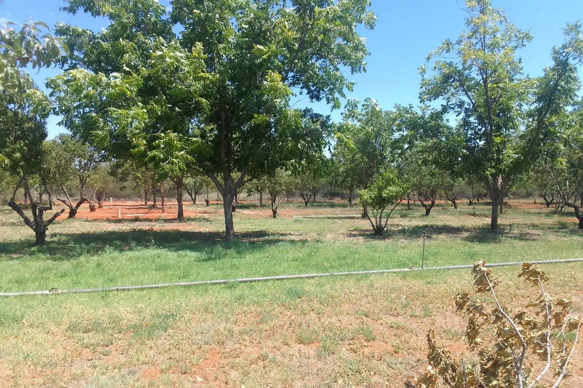Vacant Land Residential For Sale in Orania - Photo 5