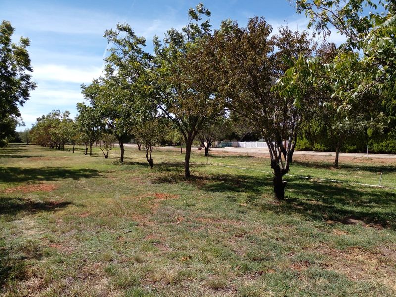 Vacant Land Residential For Sale in Orania - Photo 4