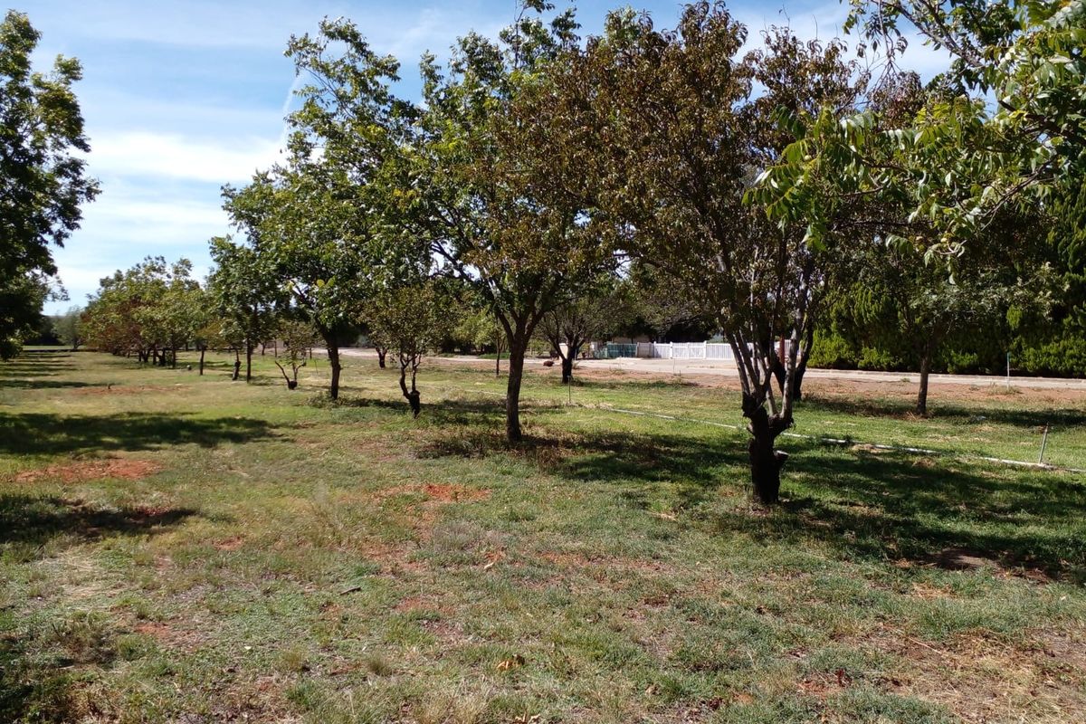 Vacant Land Residential For Sale in Orania - Photo 4
