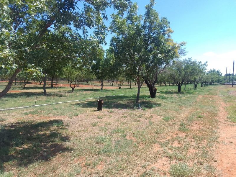 Vacant Land Residential For Sale in Orania - Photo 9