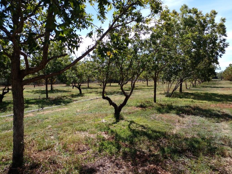 Vacant Land Residential For Sale in Orania - Photo 7