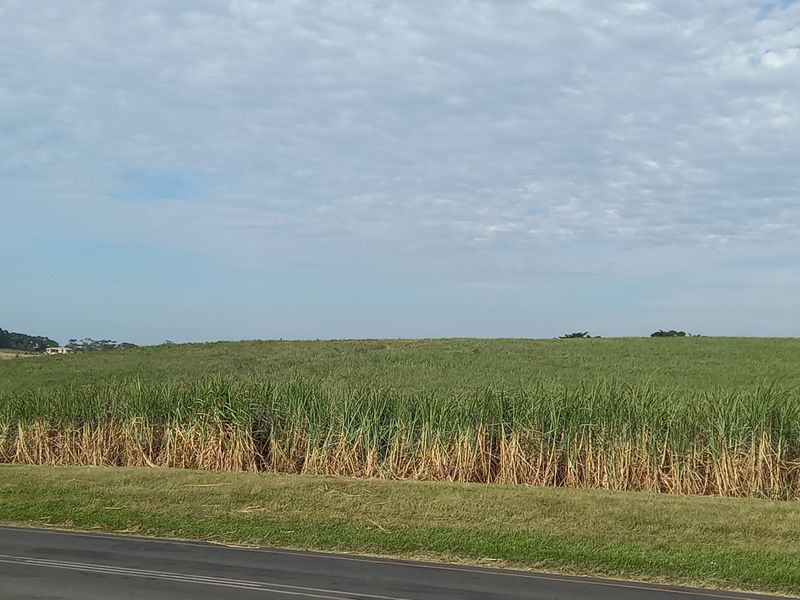 Farm For Sale in Compensation Beach - Photo 9