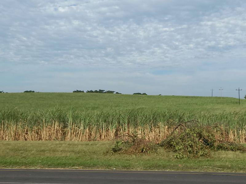 Farm For Sale in Compensation Beach - Photo 8