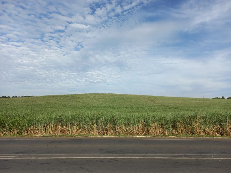 Farm For Sale in Compensation Beach - Photo 7