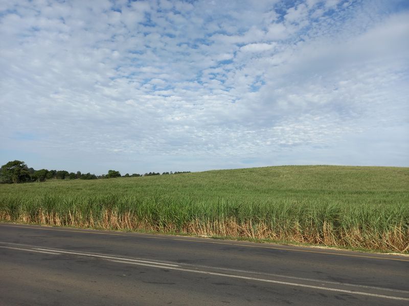 Farm For Sale in Compensation Beach - Photo 6