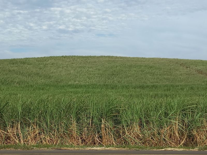 Farm For Sale in Compensation Beach - Photo 3