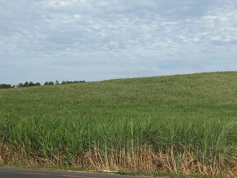 Farm For Sale in Compensation Beach - Photo 4