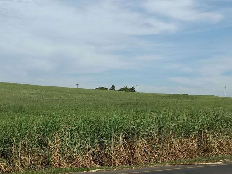 Farm For Sale in Compensation Beach - Photo 2