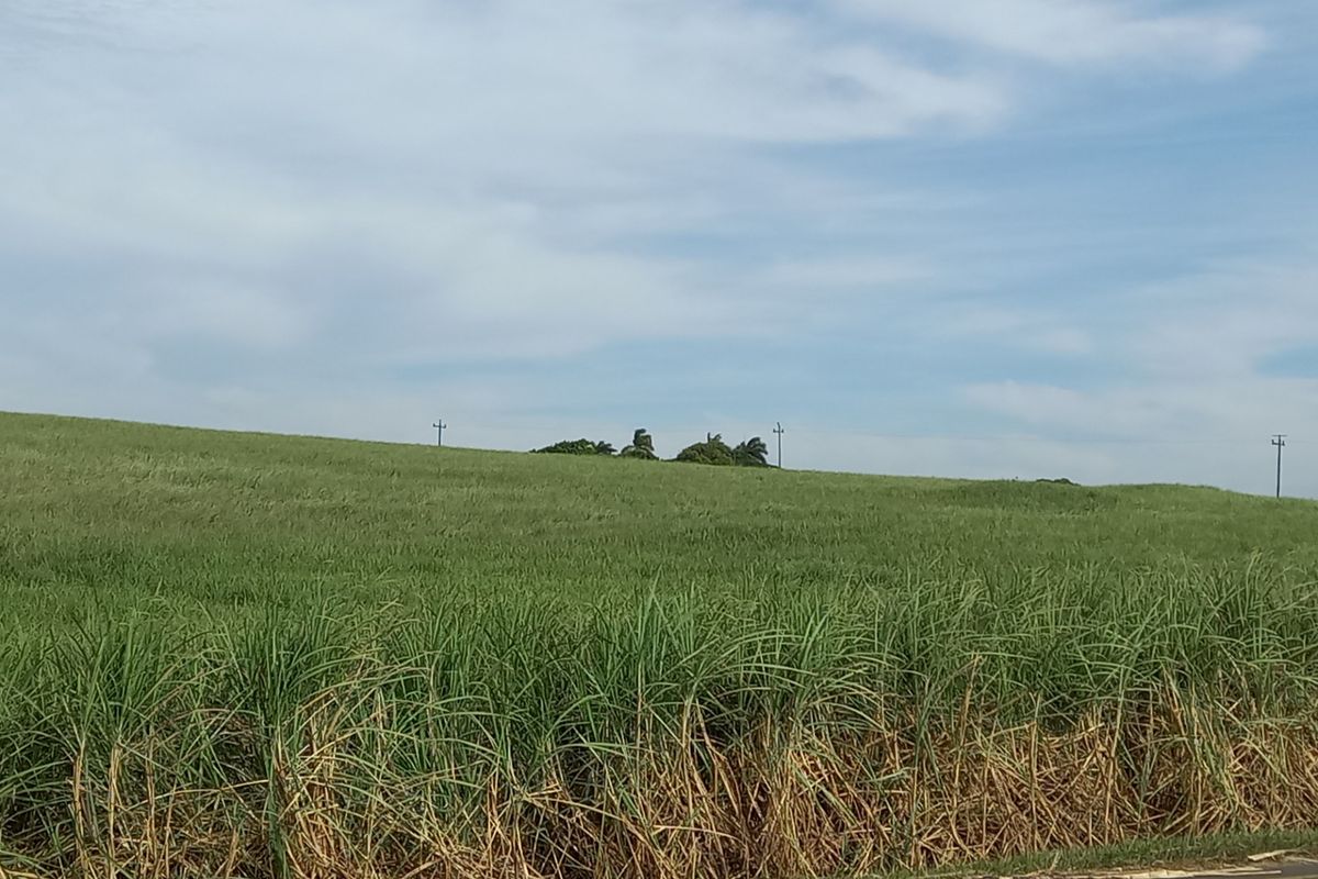 Farm For Sale in Compensation Beach - Photo 2