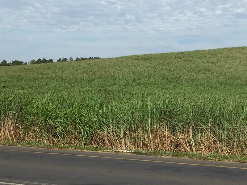 Farm For Sale in Compensation Beach - Photo 5