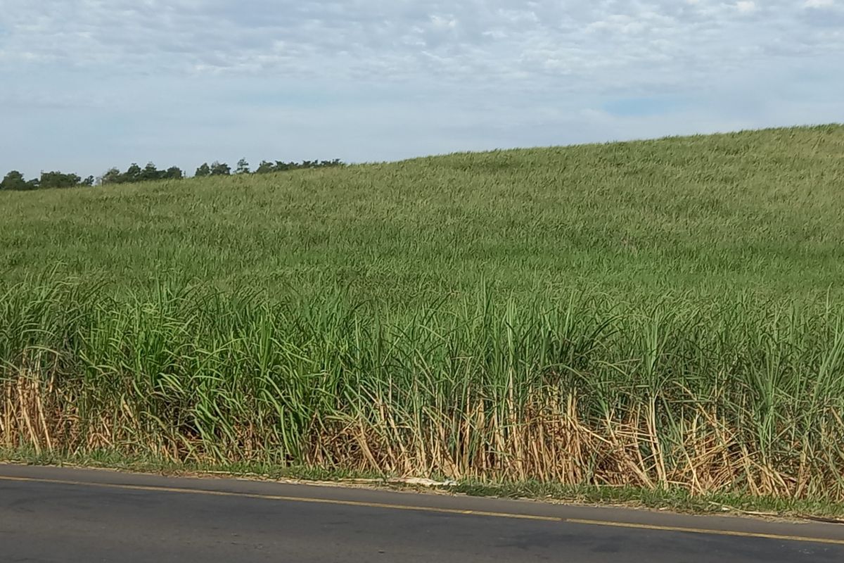 Farm For Sale in Compensation Beach - Photo 5