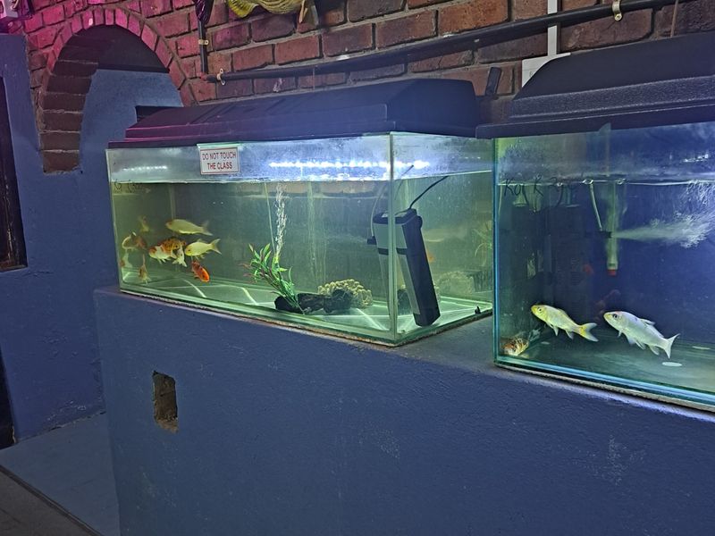 Retail For Sale in Ivy Park - Photo 8