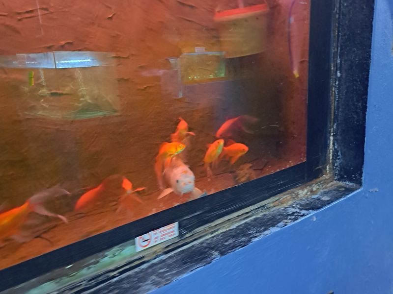 Retail For Sale in Ivy Park - Photo 9