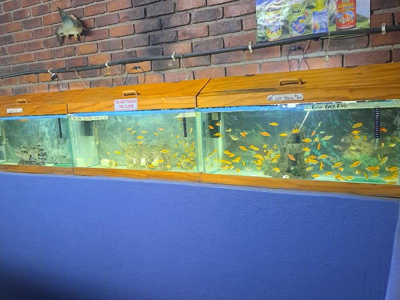 Retail For Sale in Ivy Park - Photo 10