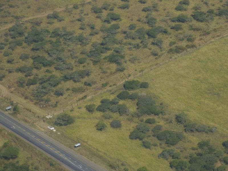 Farm For Sale in Albert Falls - Photo 9