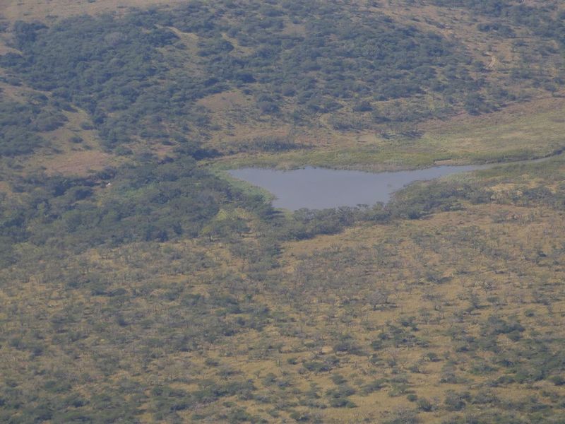 Farm For Sale in Albert Falls - Photo 7