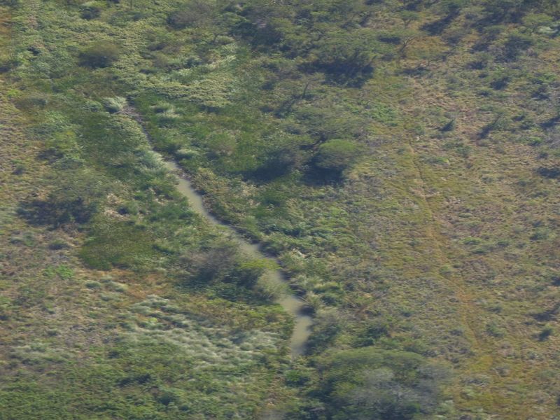 Farm For Sale in Albert Falls - Photo 6