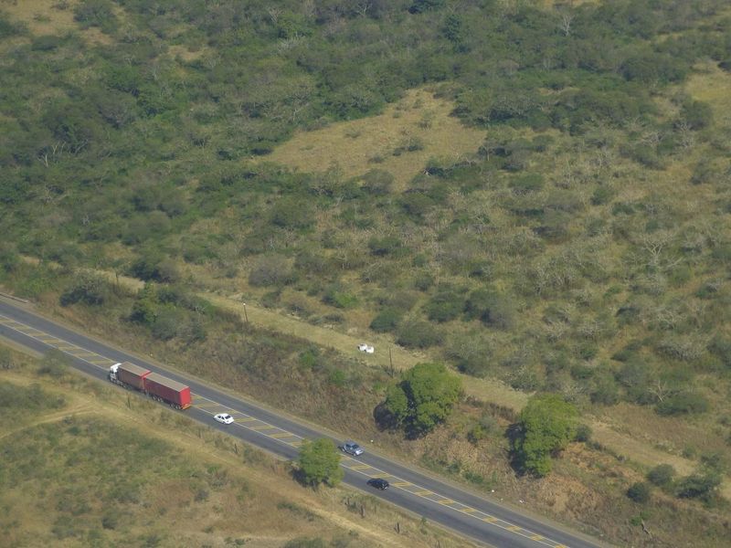 Farm For Sale in Albert Falls - Photo 10