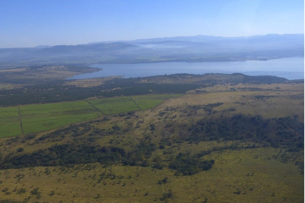 Farm For Sale in Albert Falls - Photo 3