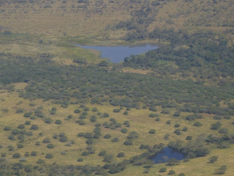 Farm For Sale in Albert Falls - Photo 3