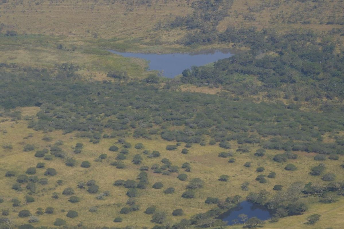 Farm For Sale in Albert Falls - Photo 3