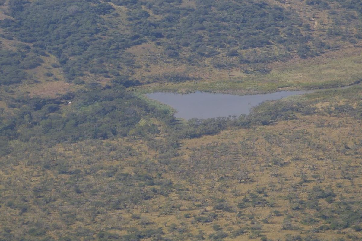 Farm For Sale in Albert Falls - Photo 2