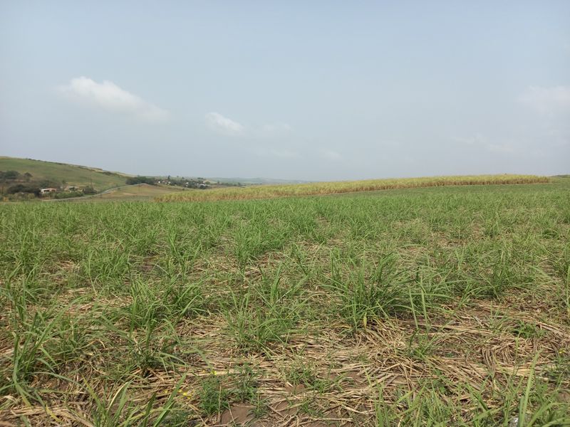 Farm For Sale in Fraser - Photo 10