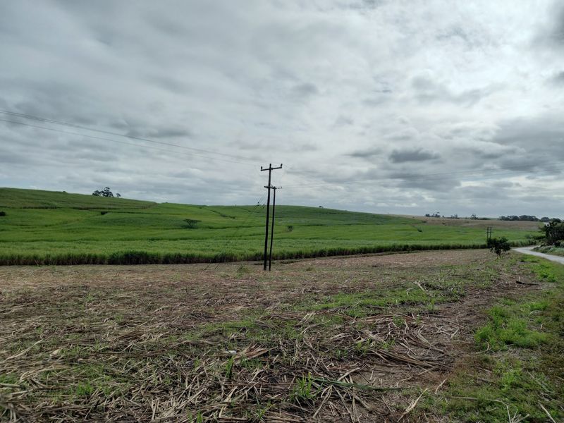 Farm For Sale in Fraser - Photo 9