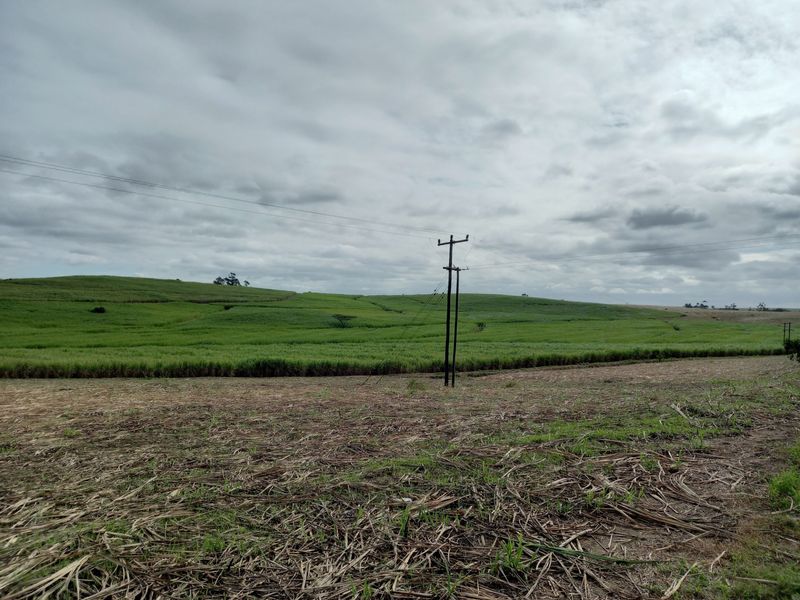 Farm For Sale in Fraser - Photo 8