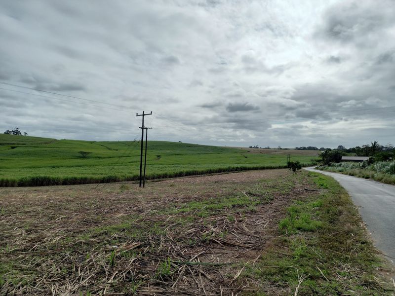 Farm For Sale in Fraser - Photo 7