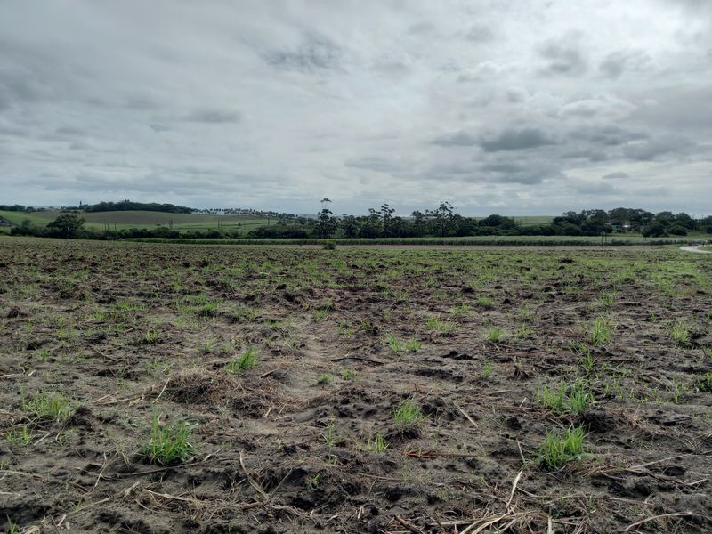 Farm For Sale in Fraser - Photo 6