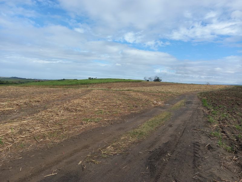 Farm For Sale in Fraser - Photo 4