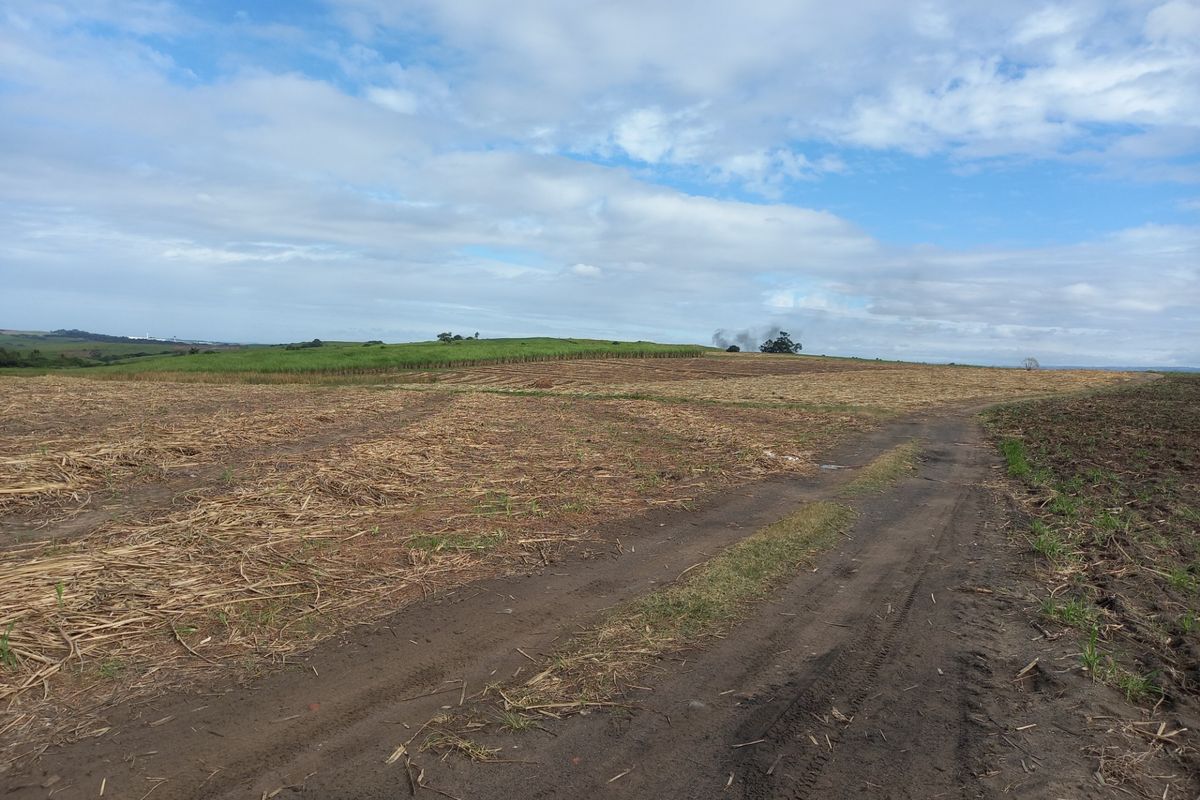 Farm For Sale in Fraser - Photo 4