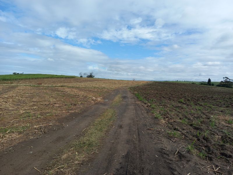 Farm For Sale in Fraser - Photo 2