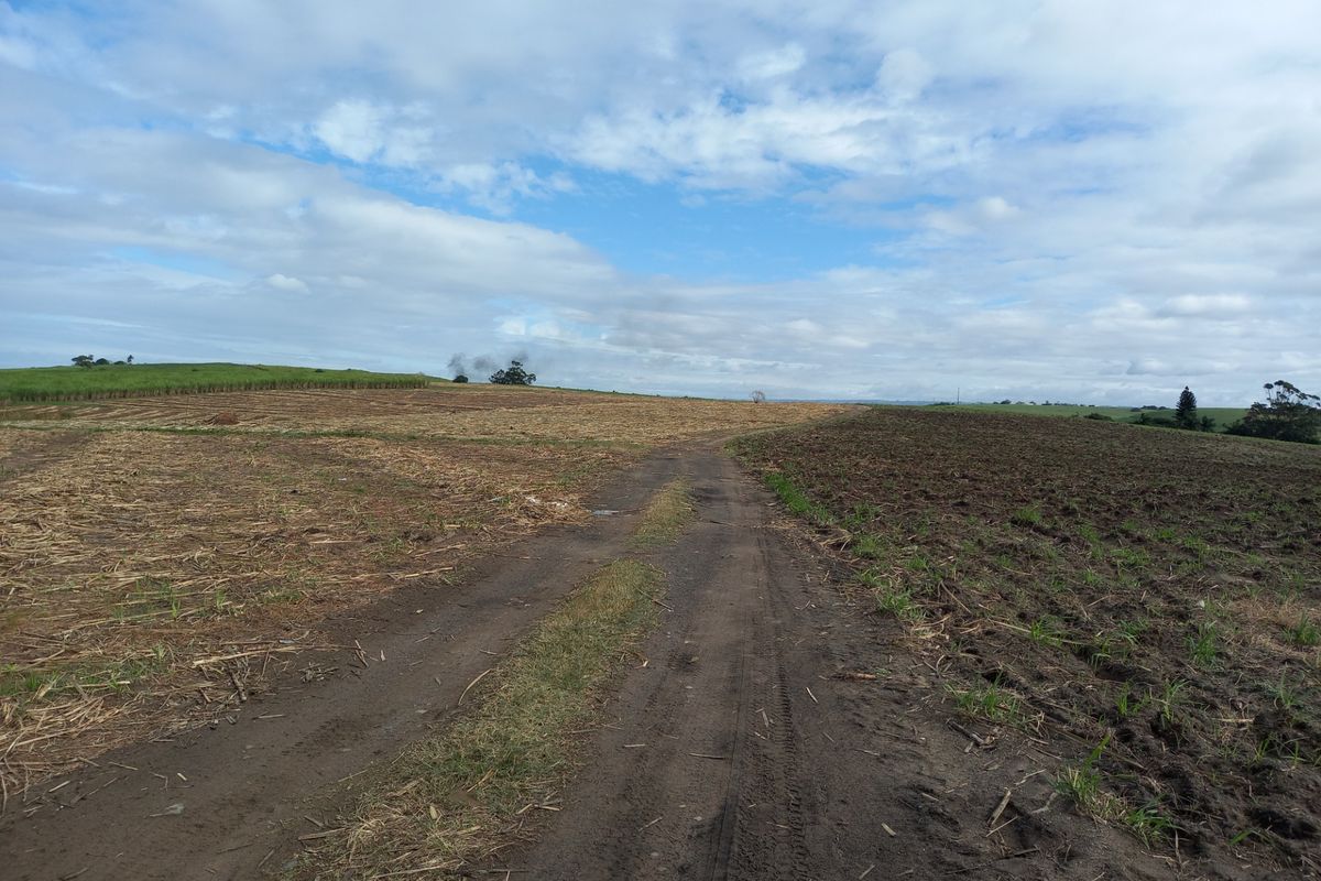 Farm For Sale in Fraser - Photo 2