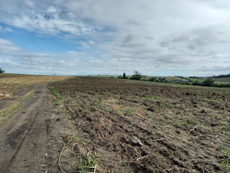 Farm For Sale in Fraser - Photo 5